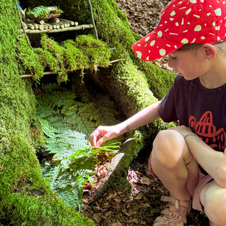 DIY mit kindwaldundwiese: Zwergenhütte zwischen Wurzelwerk und Fantasie