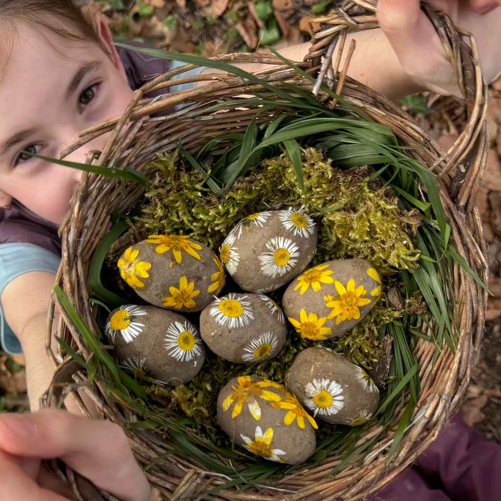 Samenbomben selber machen  DIY-Ideen aus der Natur | namuk CH
