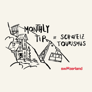 August adventures: Wild ideas for summer’s grand finale