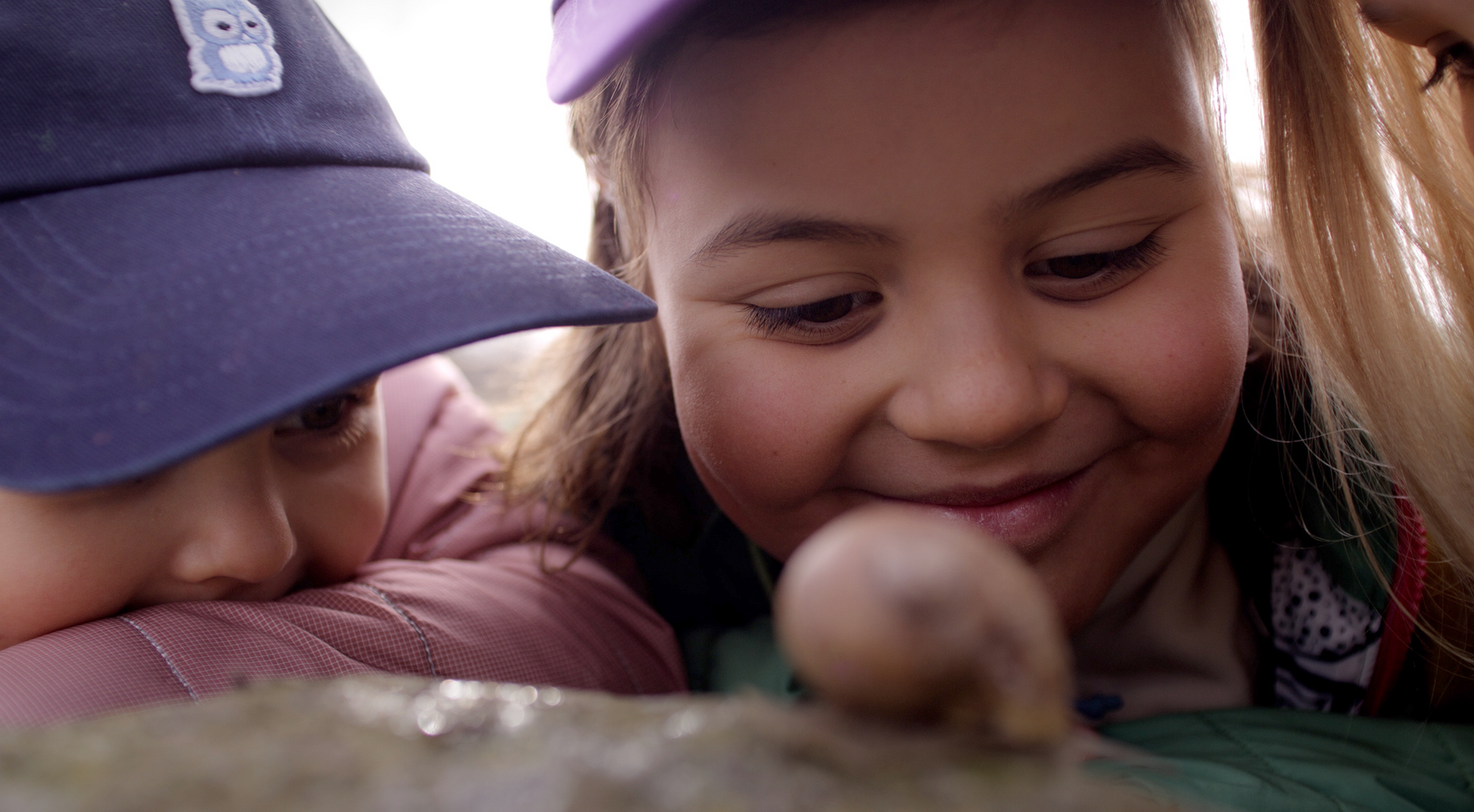 Kinder beobachten gespannt eine Schnecke