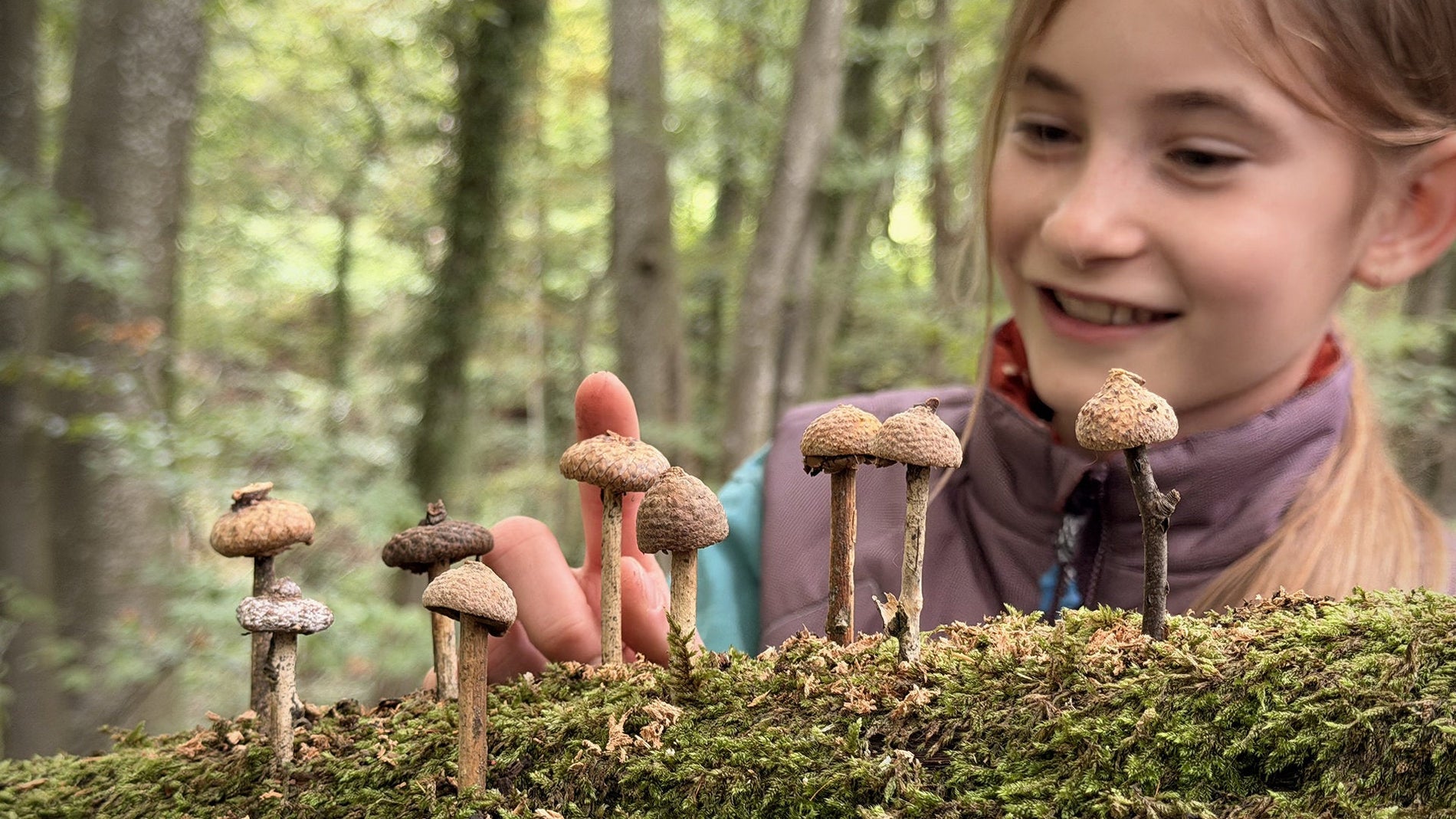 DIY mit kindwaldundwiese: Pilze aus Eichelhütchen basteln