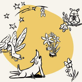 Spüren, Hören, Staunen: 7 kreative Ideen, um die Sinne in der Natur zu schärfen