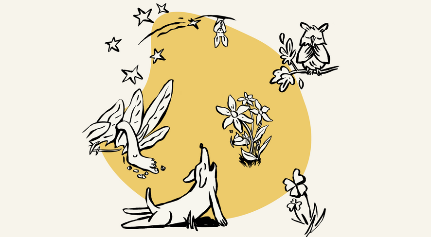 Spüren, Hören, Staunen: 7 kreative Ideen, um die Sinne in der Natur zu schärfen