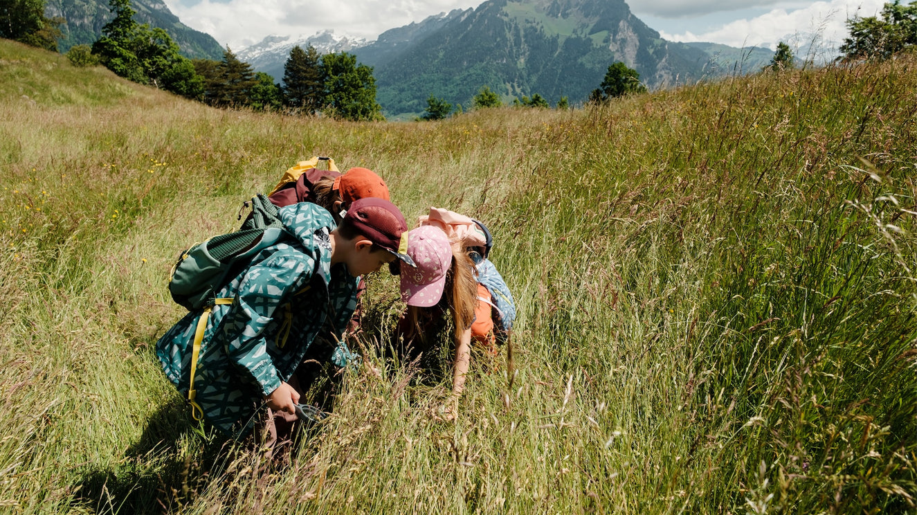 Eulennest suchen (wandern mit Kindern)
