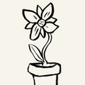 Blumen pflanzen und grossziehen