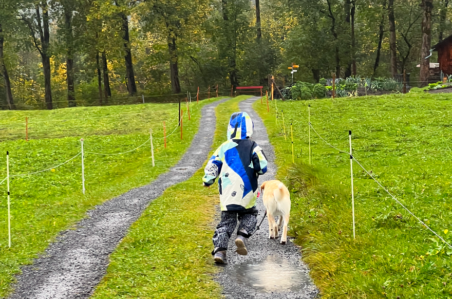 Mit dem Hund spazieren gehen