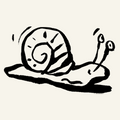 Schnecke beobachten
