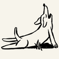 Yoga ausprobieren